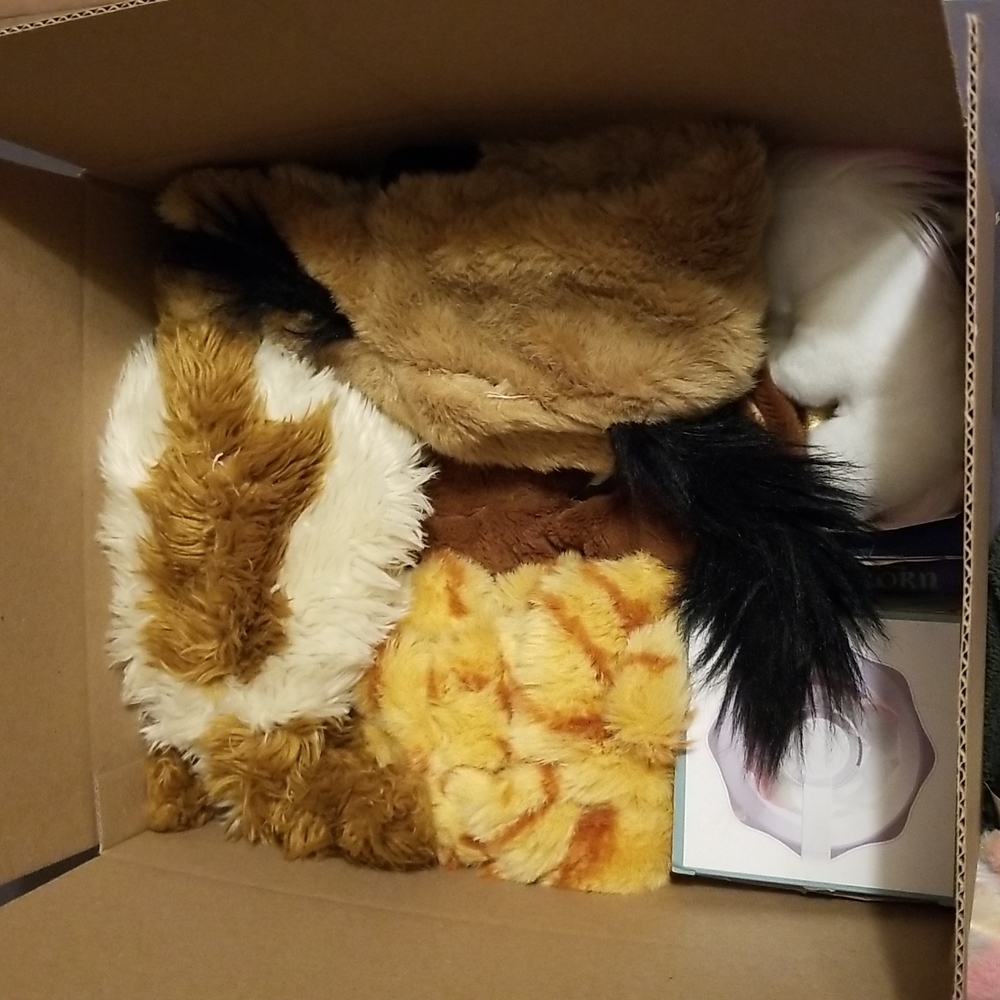 Stuffie box for Suzette Daniels